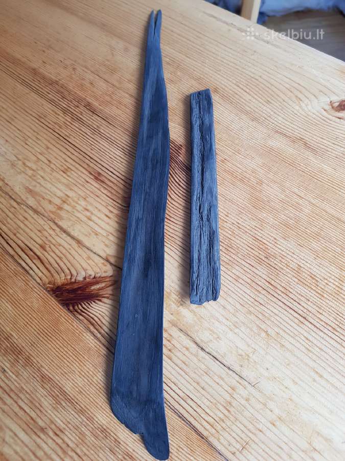Juodas ąžuolas (bog oak) - nuotraukos Nr. 9