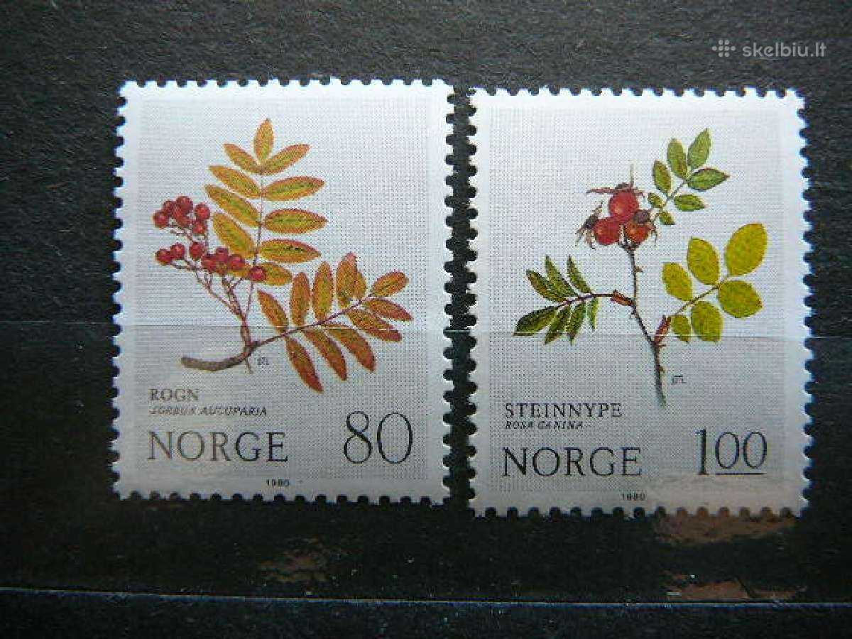 Sv. Kaledos Augalai Norvegija 1980 Mnh nvg825