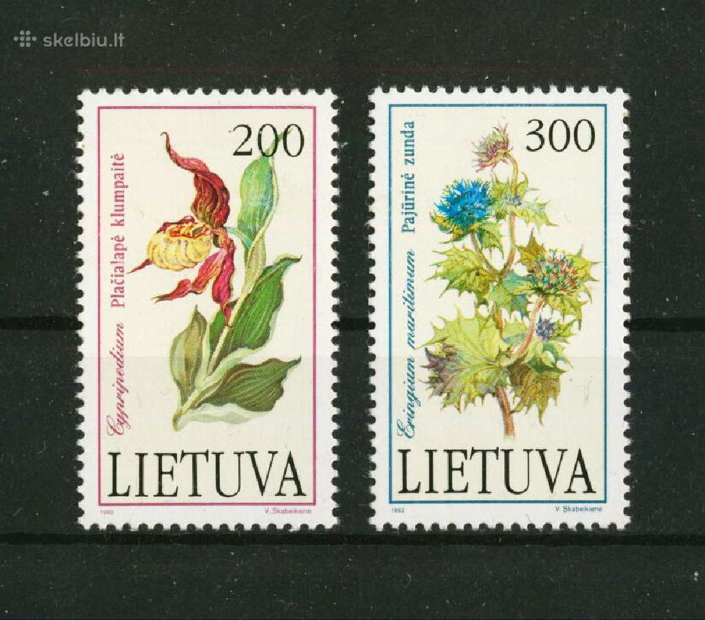 Šiuolaikinė Lietuva Mnh / Mh /U - nuotraukos Nr. 9
