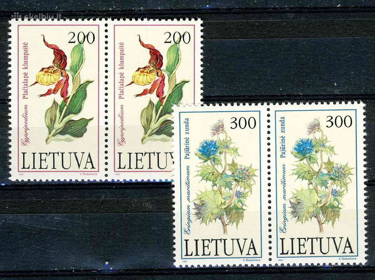 Šiuolaikinė Lietuva Mnh / Mh /U - nuotraukos Nr. 10