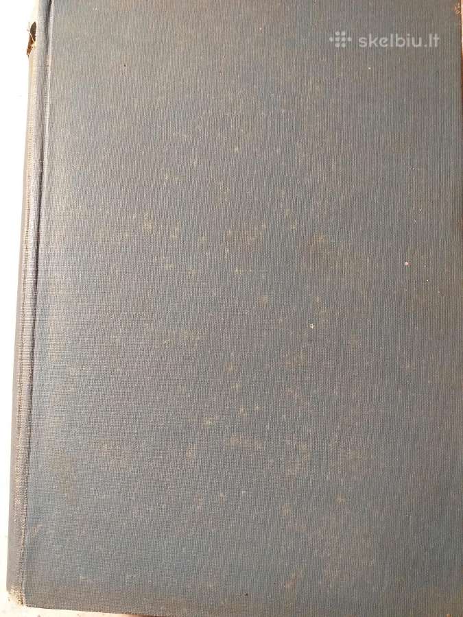 Katalikiškoji Lietuva. K. Gečys
