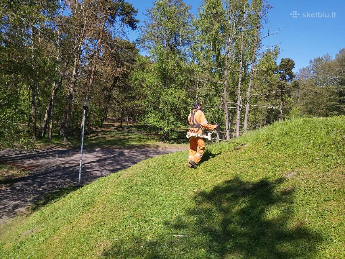 Aukštos žolės pievų pjovimas šienavimas - nuotraukos Nr. 10