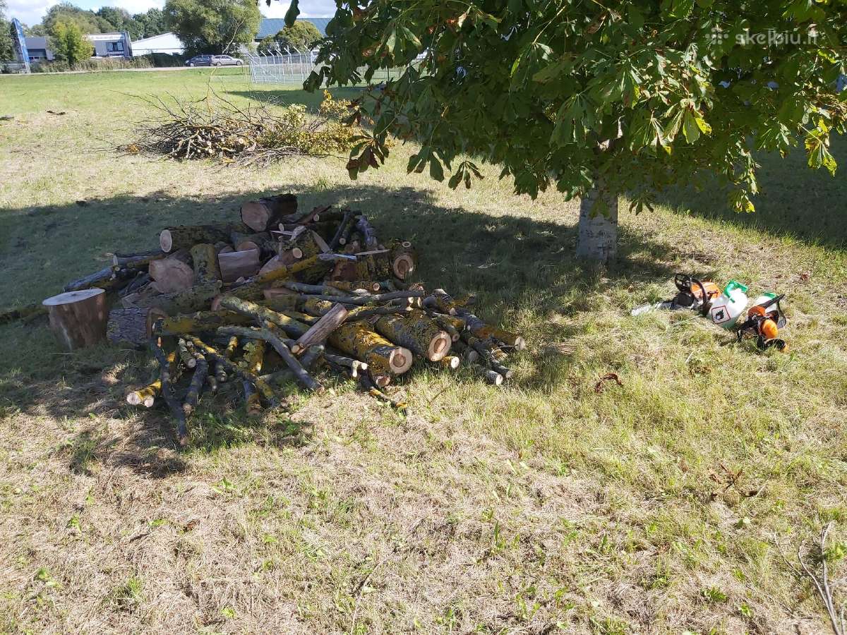 Aukštos žolės pievų pjovimas šienavimas - nuotraukos Nr. 36