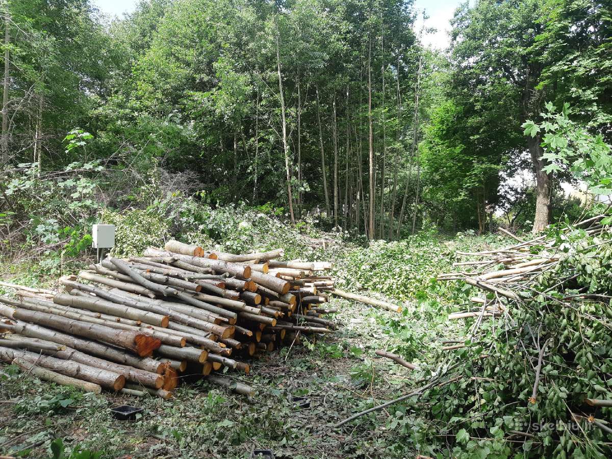 Aukštos žolės pievų pjovimas šienavimas - nuotraukos Nr. 23
