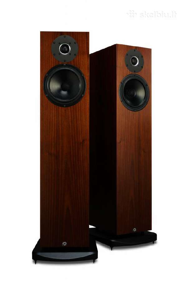 Proac D20r ribbon mapple koloneles - nuotraukos Nr. 5