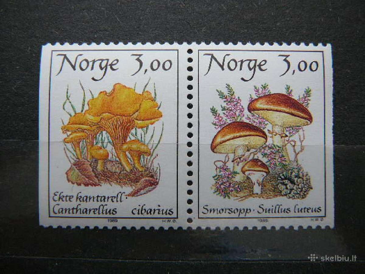 Grybai Norvegija 1989 Mnh nvg1012