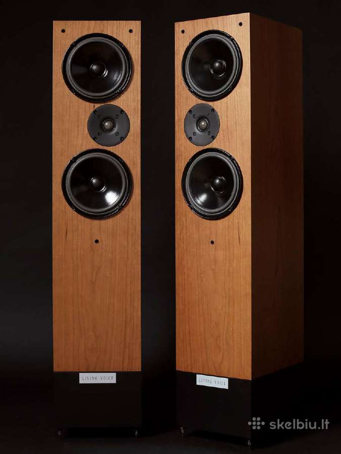 Proac D20r ribbon mapple koloneles - nuotraukos Nr. 10