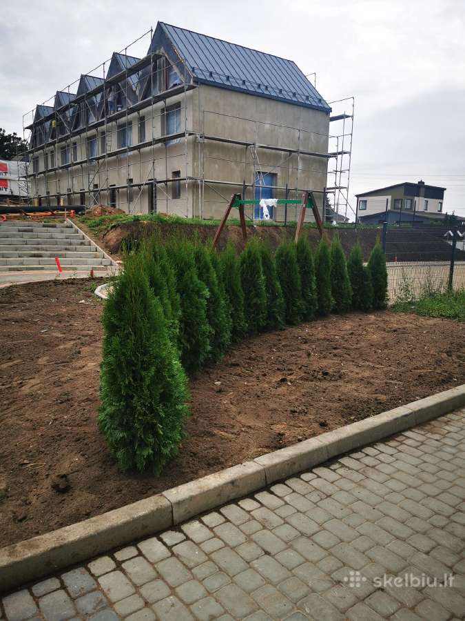 Tujos Smaragd Geriausia kaina ir kokybe Vilnius - nuotraukos Nr. 2