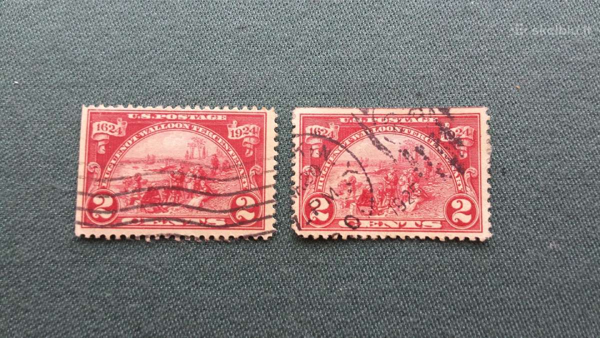 Usa 1924 m.