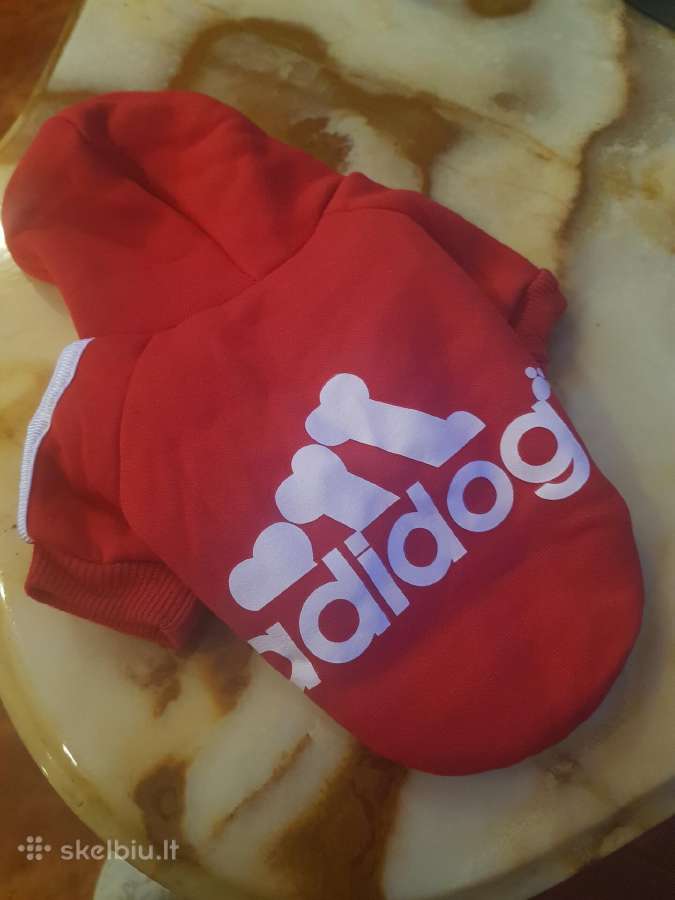 Rūbelis šuniukui