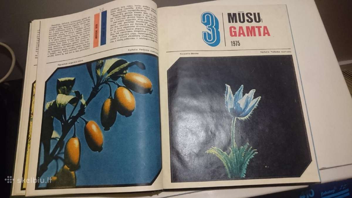 1975 m žurnalai Mūsu gamta - nuotraukos Nr. 5