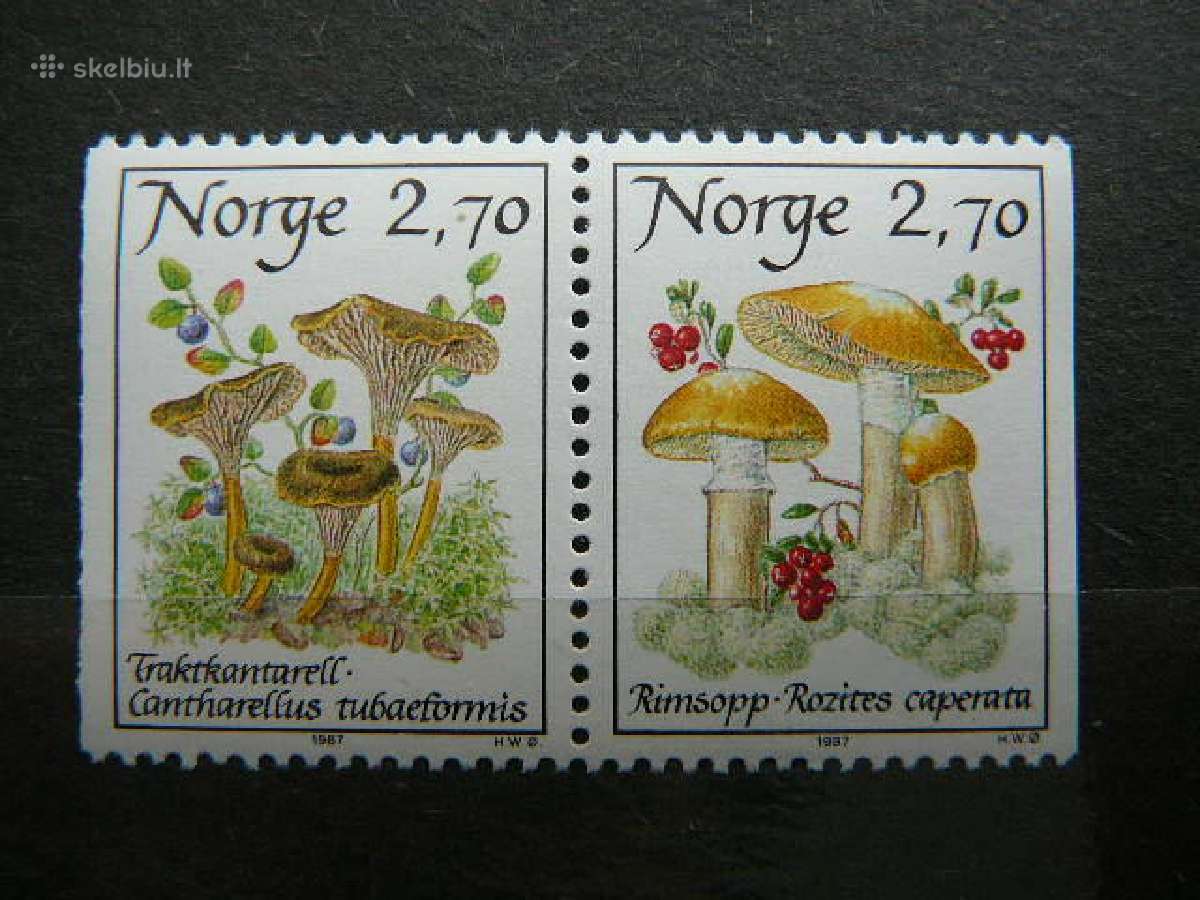 Grybai Norvegija 1987 Mnh nvg969