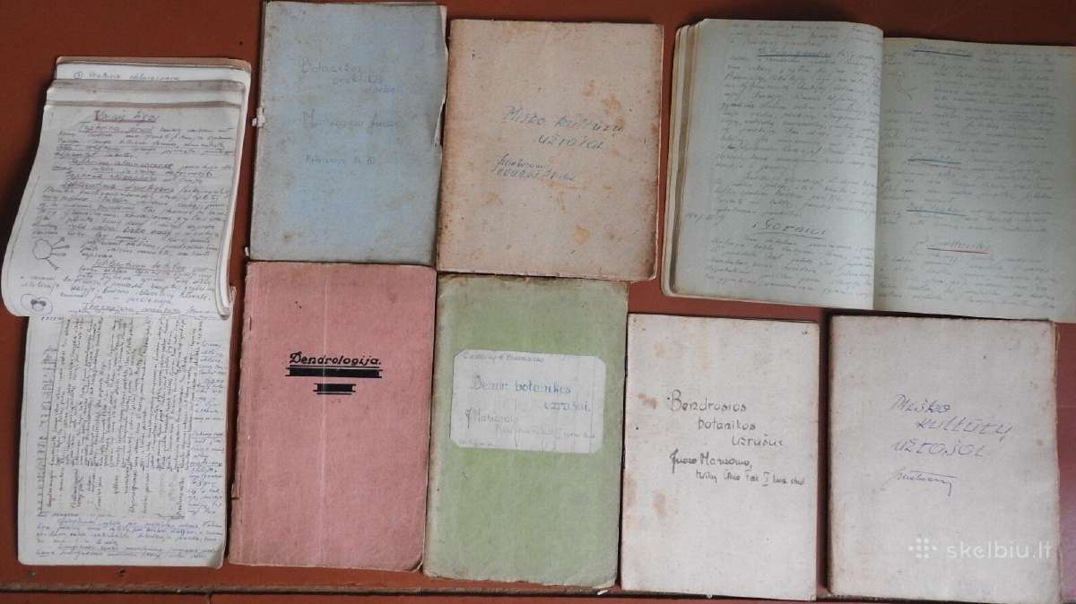 Miškininko eigulio mokslų užraišai 1945-1947 - nuotraukos Nr. 5