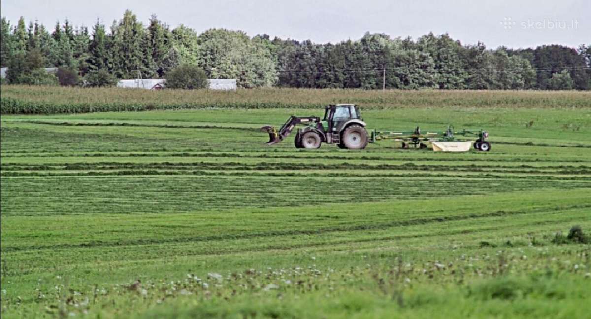 Žolių sėklų įvairių sudėčių mišiniai