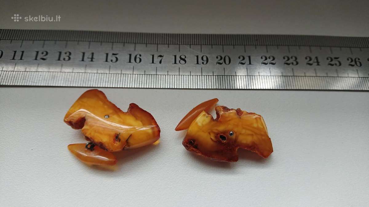 Gintarines Sasagos senos