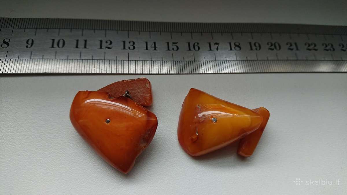 Gintarines Sasagos senos