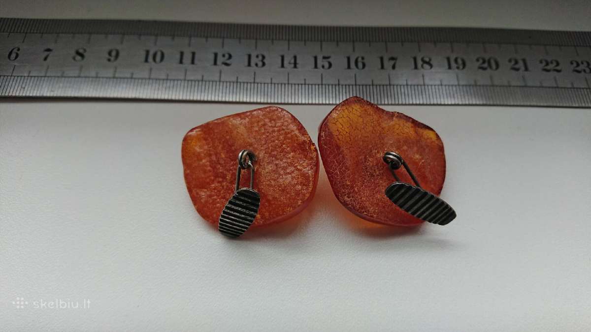 Gintarines Sasagos senos - nuotraukos Nr. 3