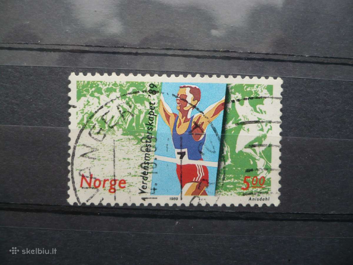 1989 m. Pasaulio kroso bėgimo čempionatas