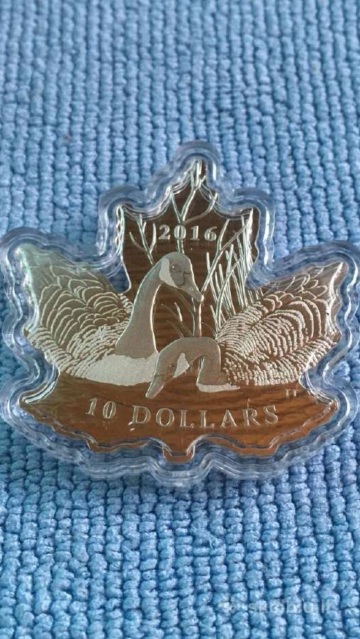 Maneta Canada 2016m. 10 dollars, sidabras
