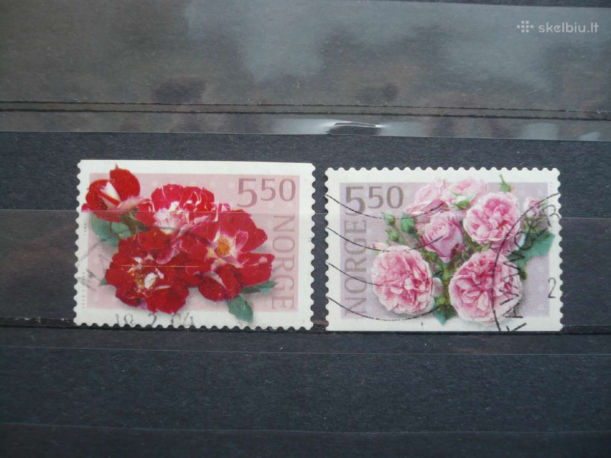 2001 m. „rožės“