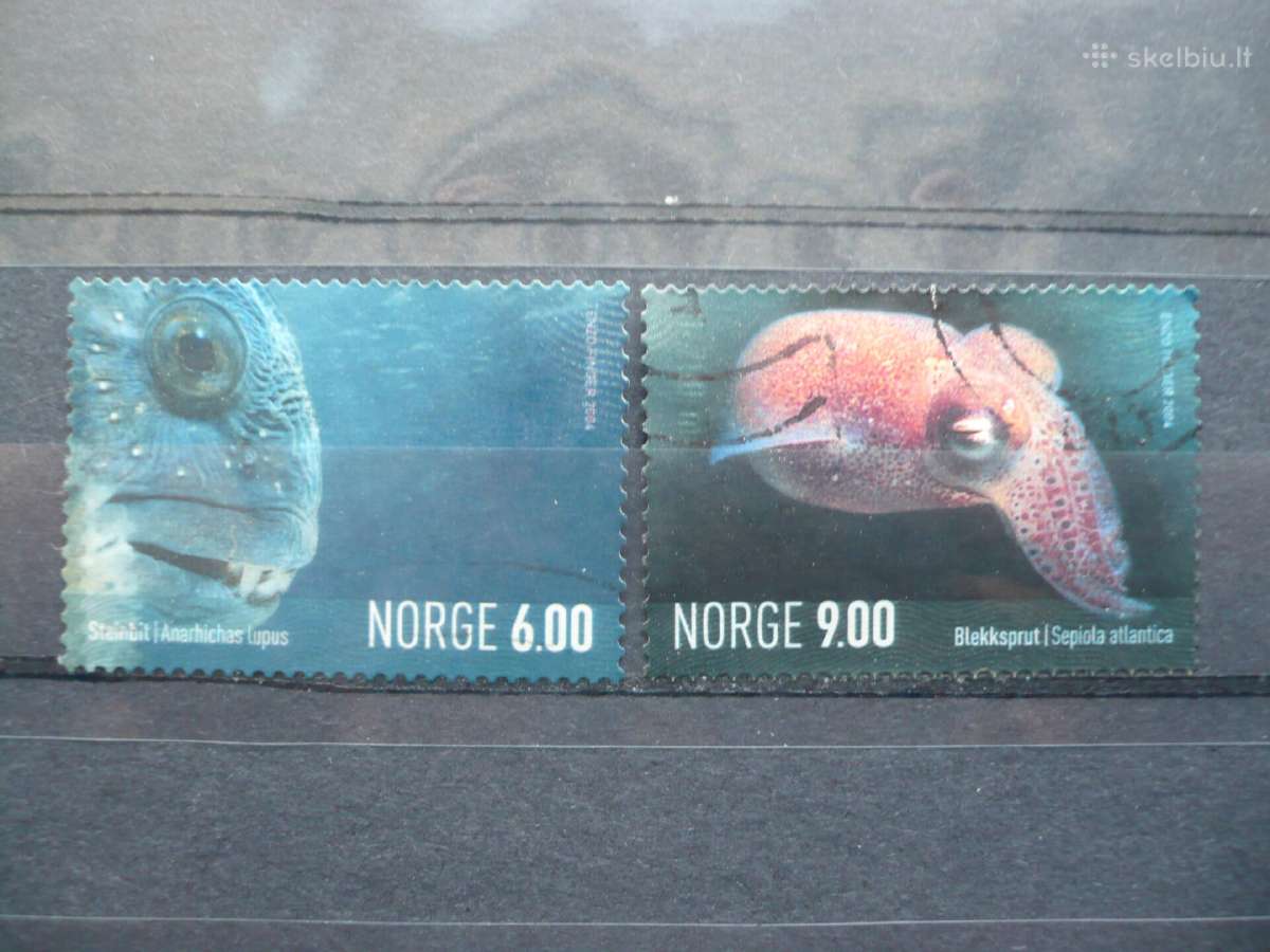 2004 m. Jūrų gyvenimas Norvegijoje