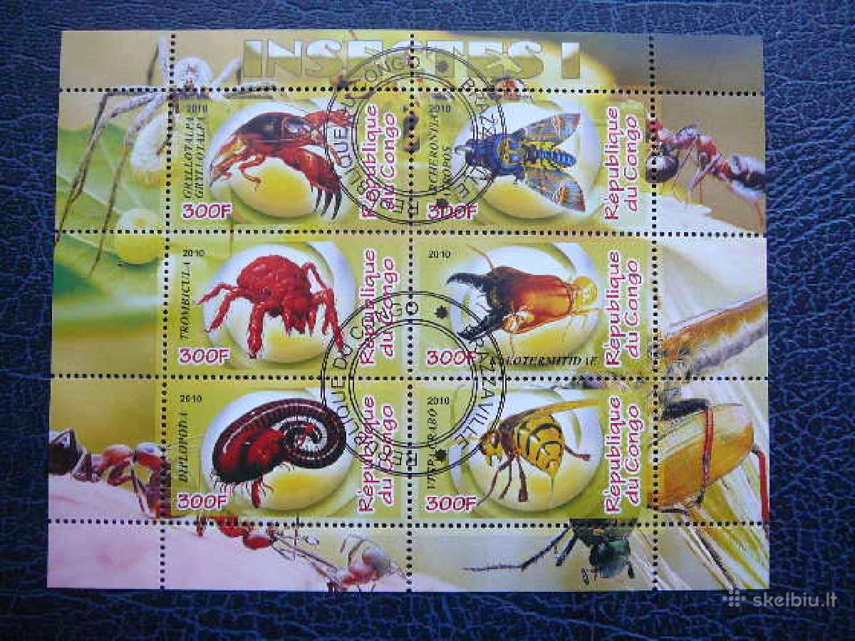 Vabalai Vabzdžiai Kongas 2010 antsp. s825