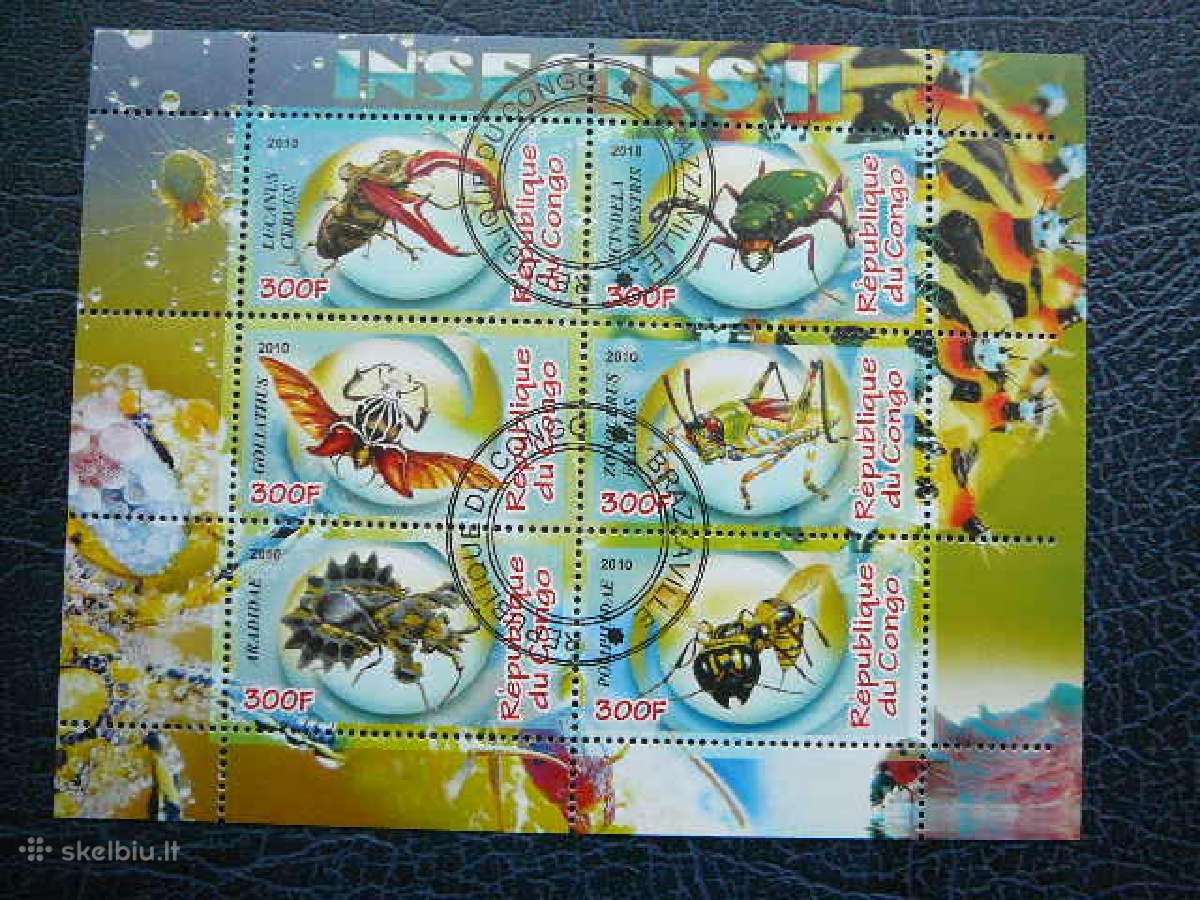 Vabalai Vabzdžiai Kongas 2010 antsp. s826