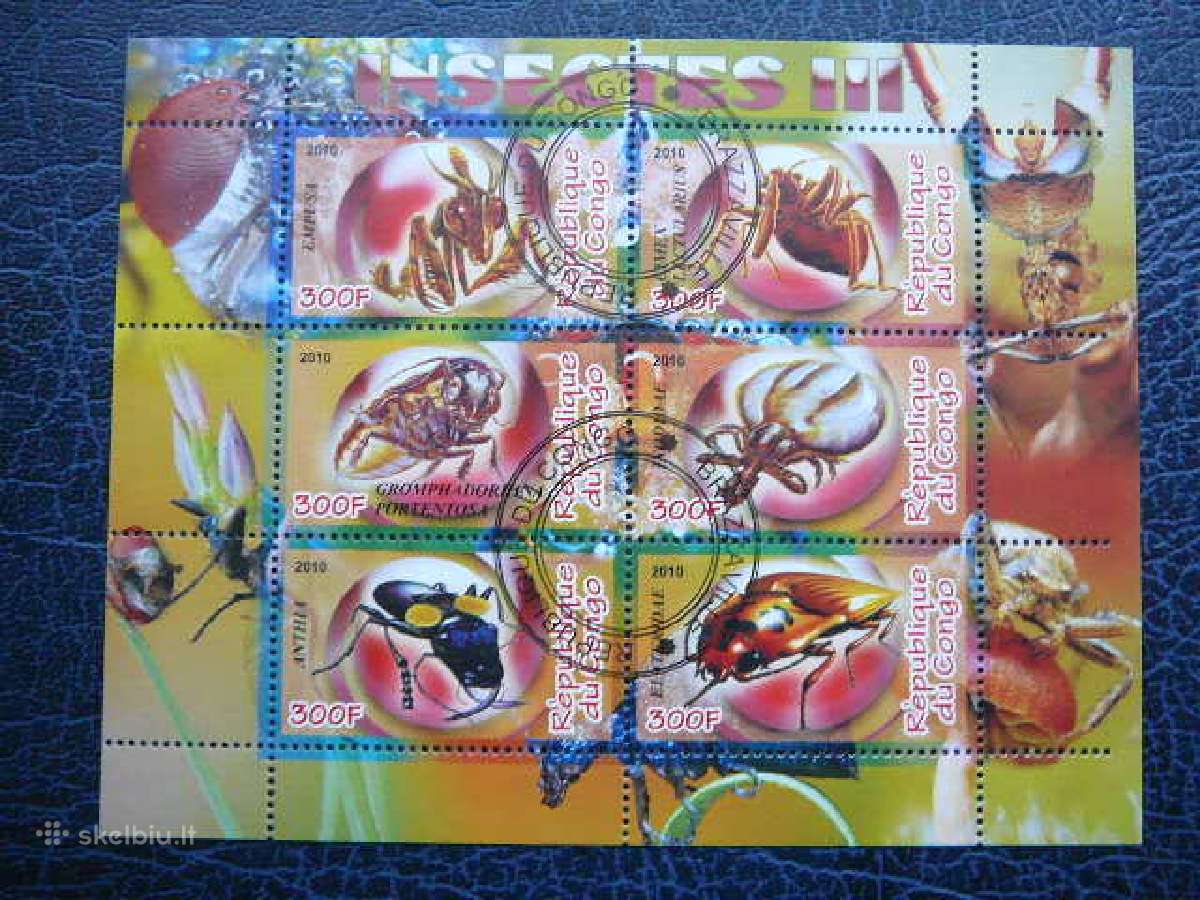 Vabalai Vabzdžiai Kongas 2010 antsp. s827