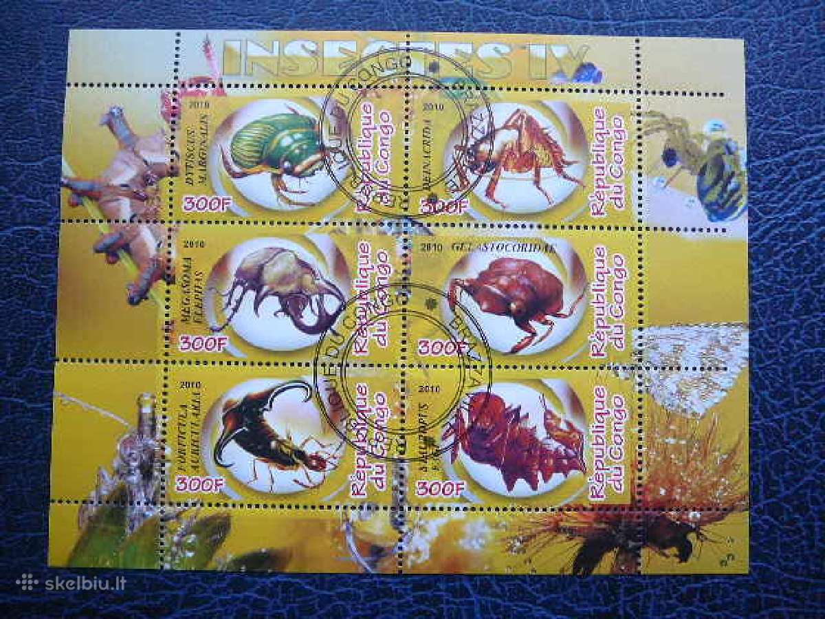 Vabalai Vabzdžiai Kongas 2010 antsp. s828
