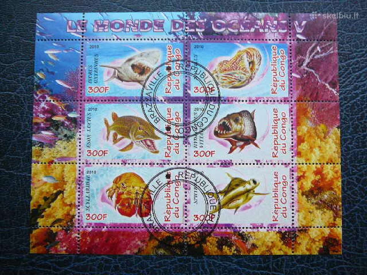 Zuvys Juros fauna Kongas 2010 antsp. s824