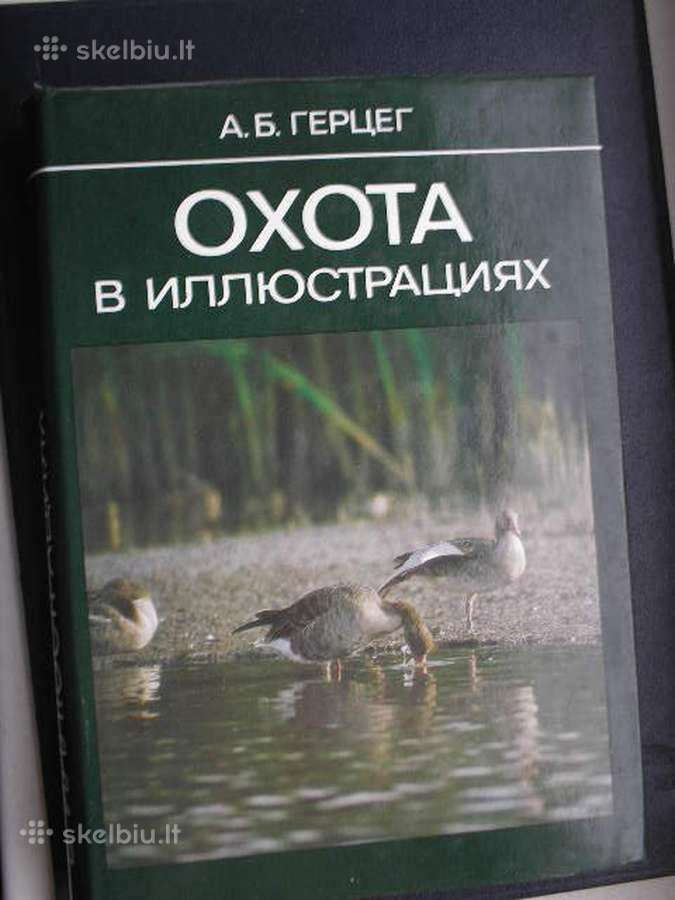 Oxota
