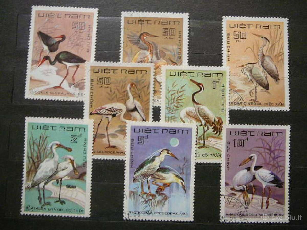 Pauksciai Vietnamas antsp. vtn833
