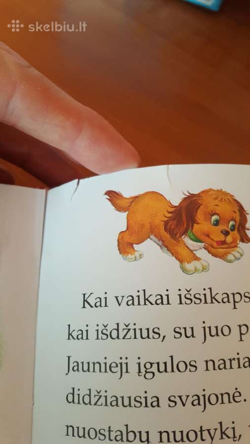 Knygutė vaikams "Apie paiką ožį ir katytės grožį" - nuotraukos Nr. 5