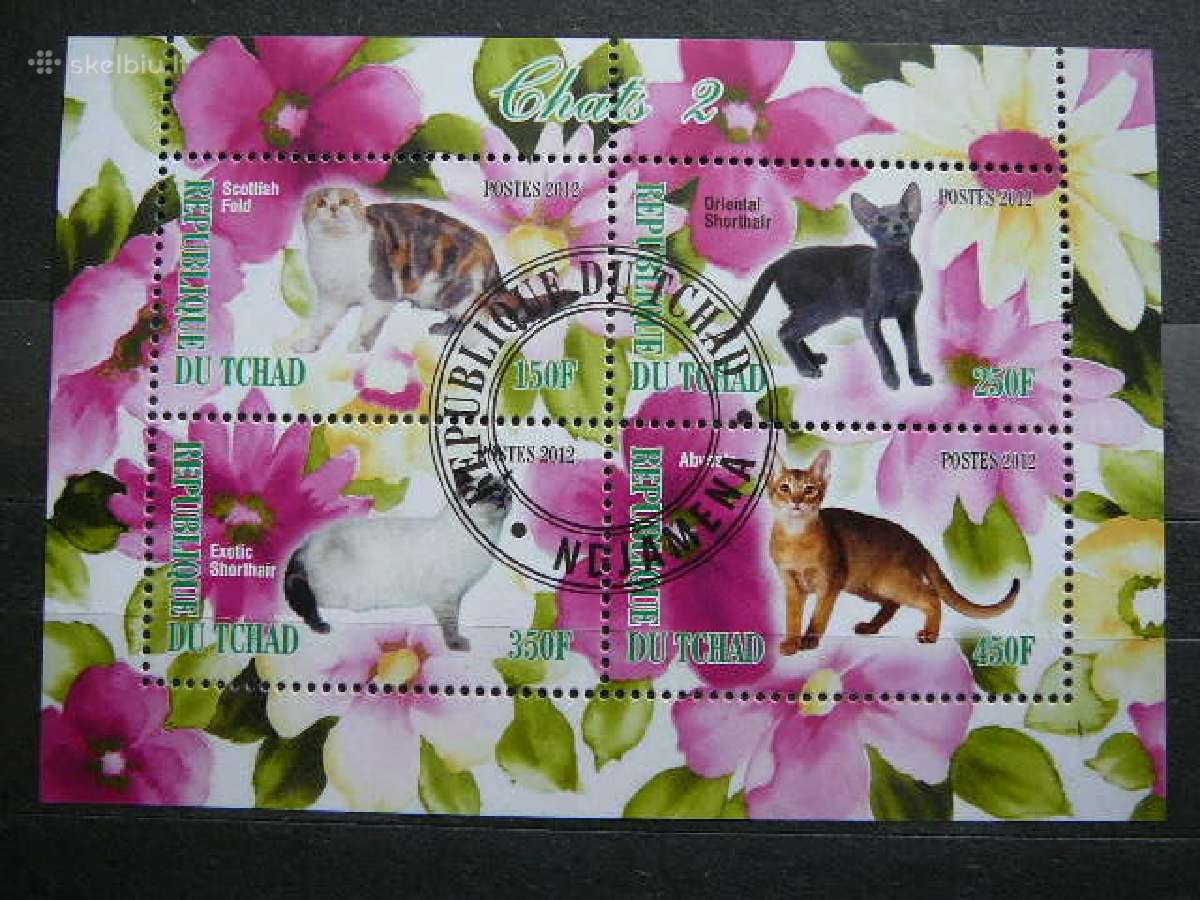 Kates Cadas 2012 antsp. g545