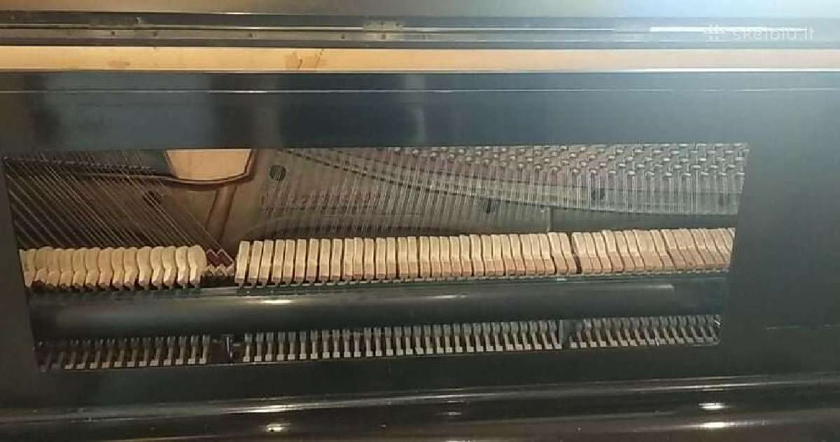 1888m. pianinas su dramblio kaulo klavišais - nuotraukos Nr. 5