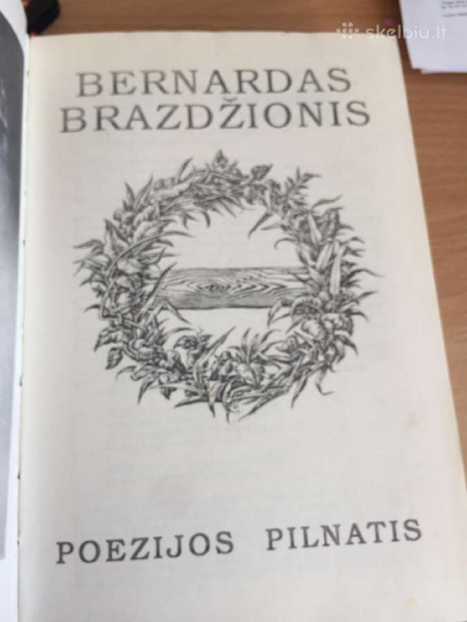 Bernardas Brazdžionis - nuotraukos Nr. 2