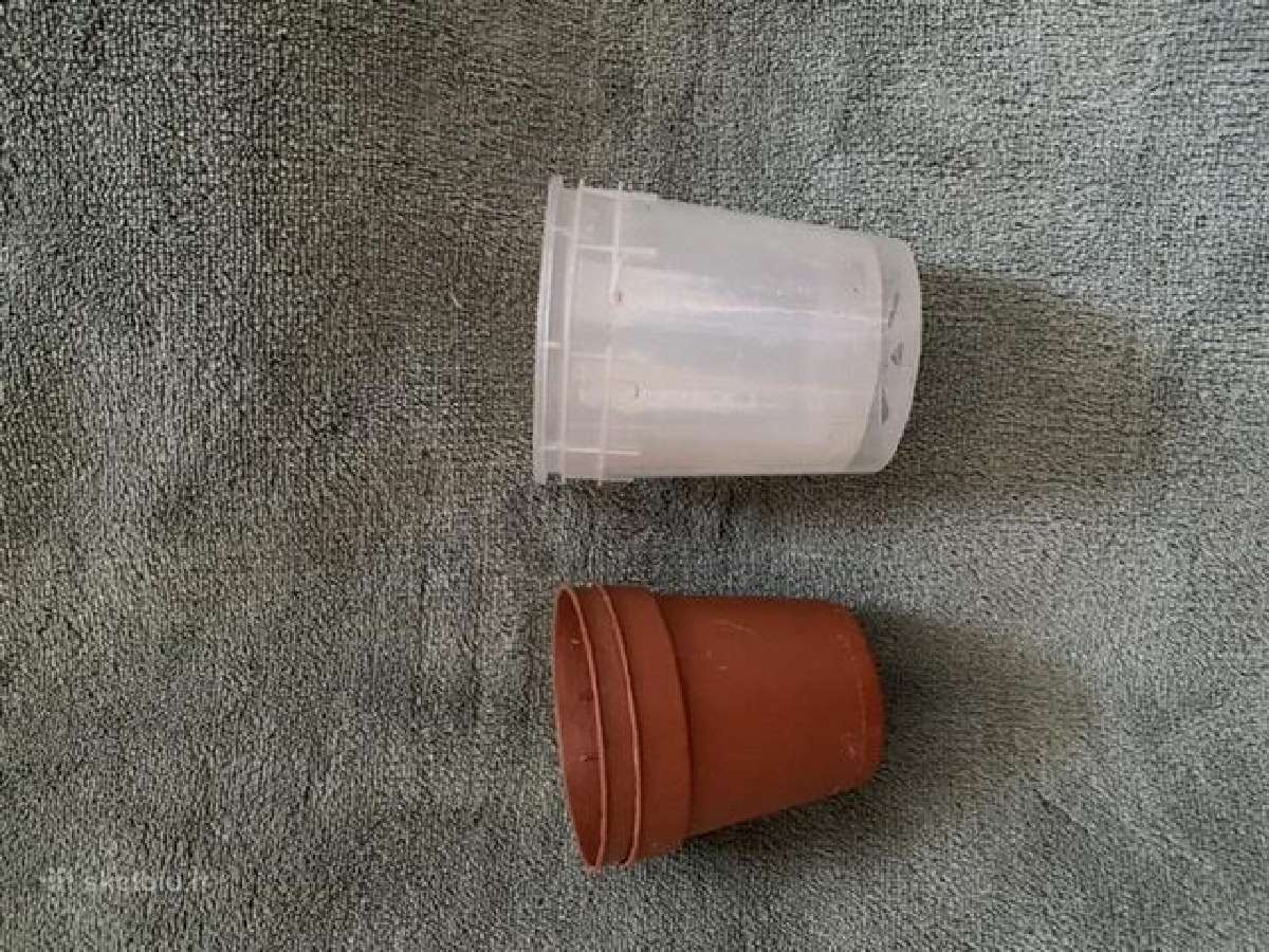 Plastikiniai vazoneliai 10 vnt - nuotraukos Nr. 3