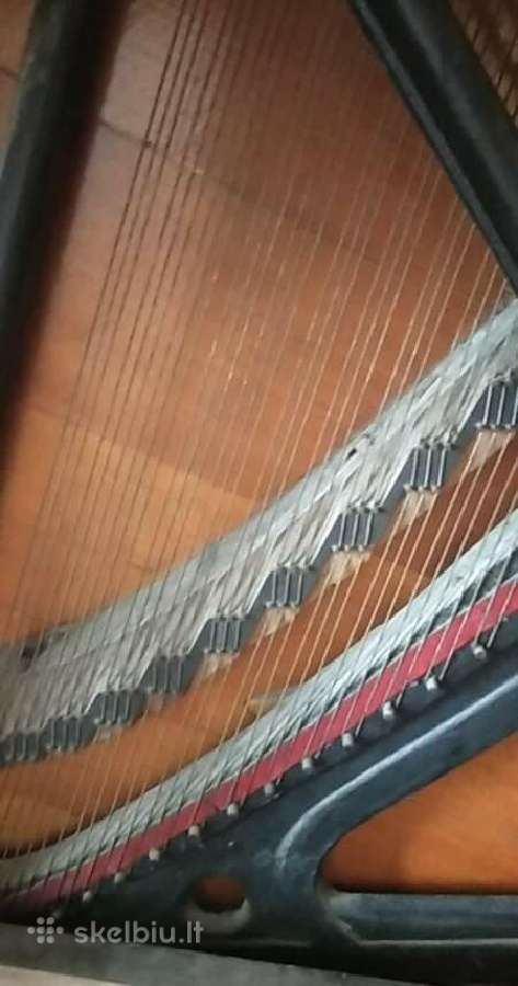 1888m. pianinas su dramblio kaulo klavišais - nuotraukos Nr. 7