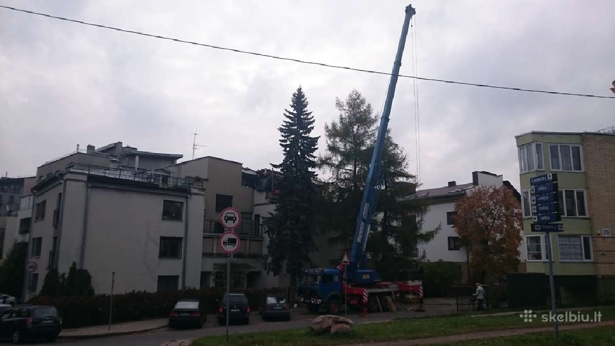 Auto krano nuoma, pigi krano nuoma, automobilinio - nuotraukos Nr. 11