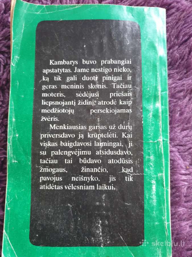 Detektyvas - nuotraukos Nr. 2