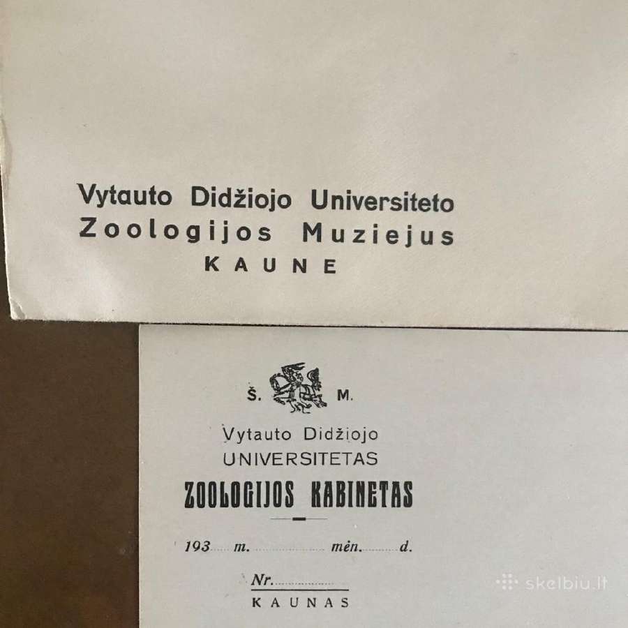 Prieškario vokas - nuotraukos Nr. 2