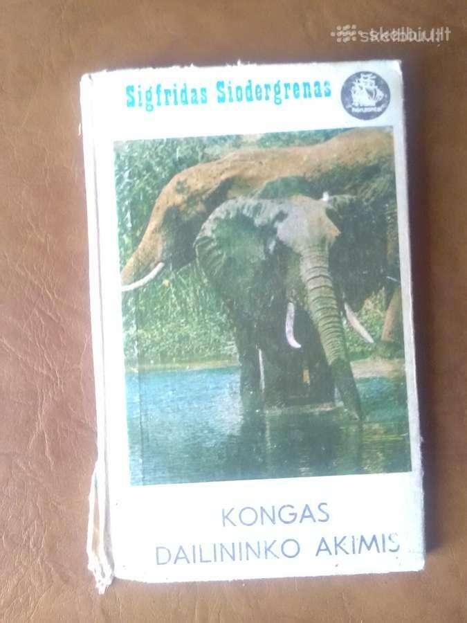Kongas dailininko akimis