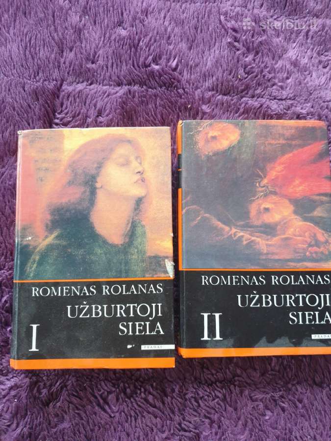 Užburtoji siela Romanas 2 dalys