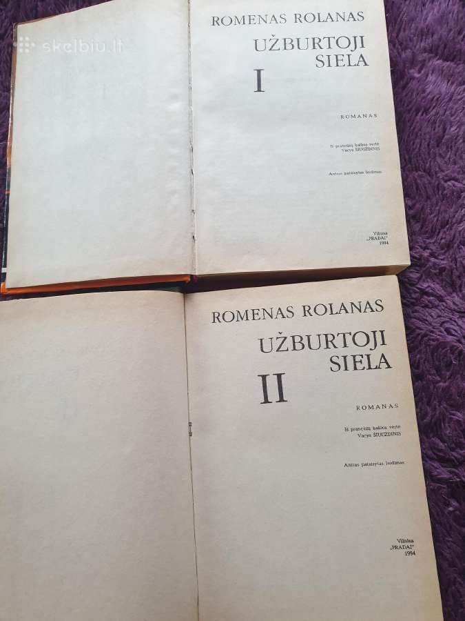 Užburtoji siela Romanas 2 dalys - nuotraukos Nr. 4