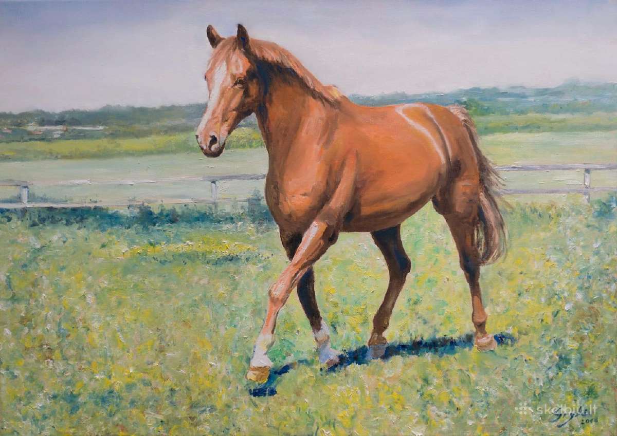 Portretai iš nuotraukų, paveikslai - nuotraukos Nr. 8