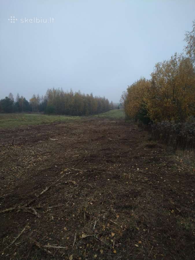 Apleistų sklypų tvarkymas, Kelmų frezavimas - nuotraukos Nr. 17