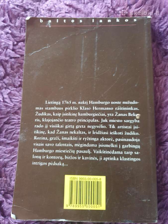 Istorinis detektyvas,mirtis prie muitinės - nuotraukos Nr. 2