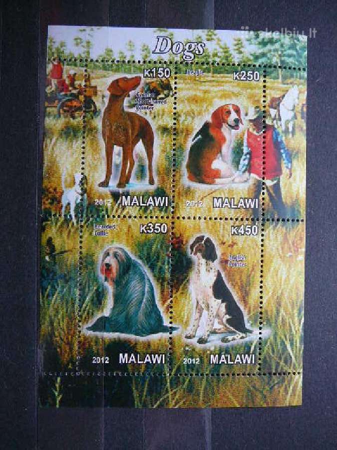 Sunys Malavis 2012 svarus g583a