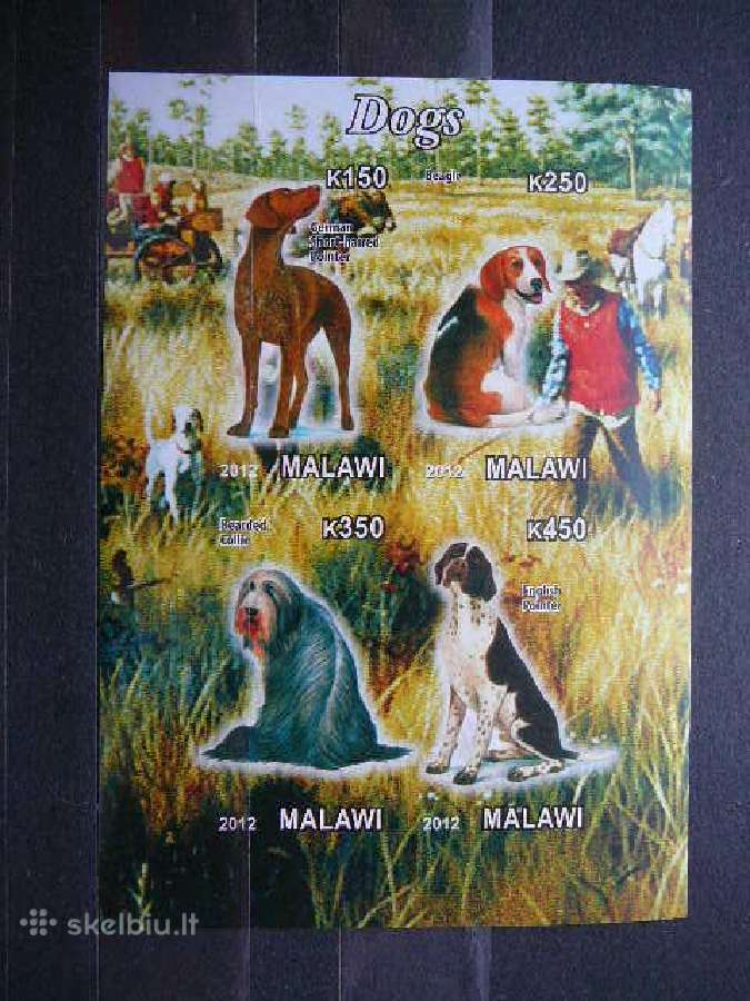 Sunys Malavis 2012 svarus g583b