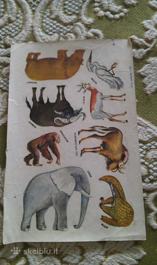 1.50 eur x8 + siun